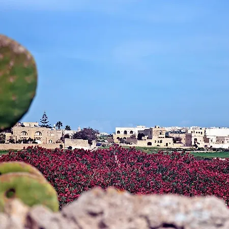 Dar Il Palm *